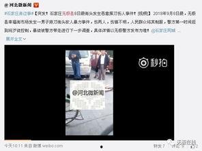 石家庄无极爆料事件视频,视频揭露惊人真相