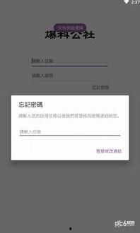 爆料公社安卓下载最新版,功能升级，体验再升级！