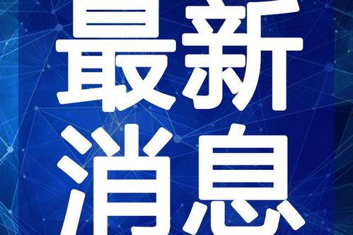 衡阳百姓爆料事件视频最新,真相揭开，民众关注焦点聚焦
