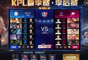 王者爆料kpl皮肤最新,王者峡谷再迎神秘英雄，全新特效震撼登场！